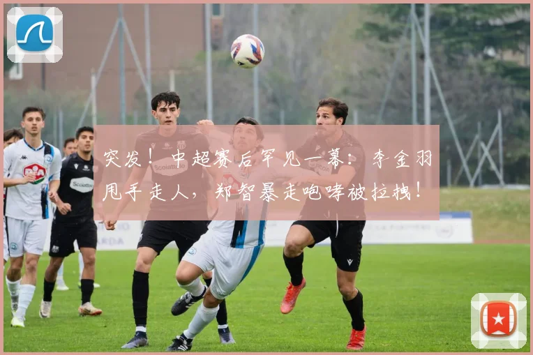 突发！中超赛后罕见一幕：李金羽甩手走人，郑智暴走咆哮被拉拽！