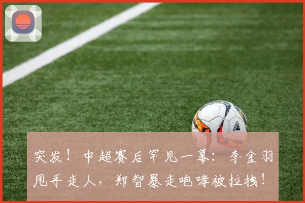 突发！中超赛后罕见一幕：李金羽甩手走人，郑智暴走咆哮被拉拽！