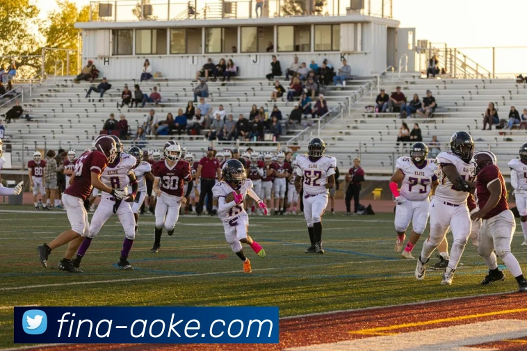 多媒体互动体验